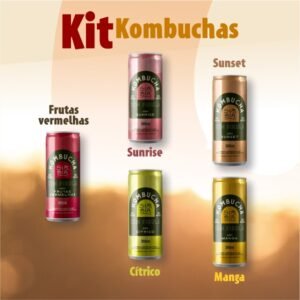 Kit kombuchas